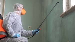 Professional Mold Removal in Fort Belknap Agency, MT